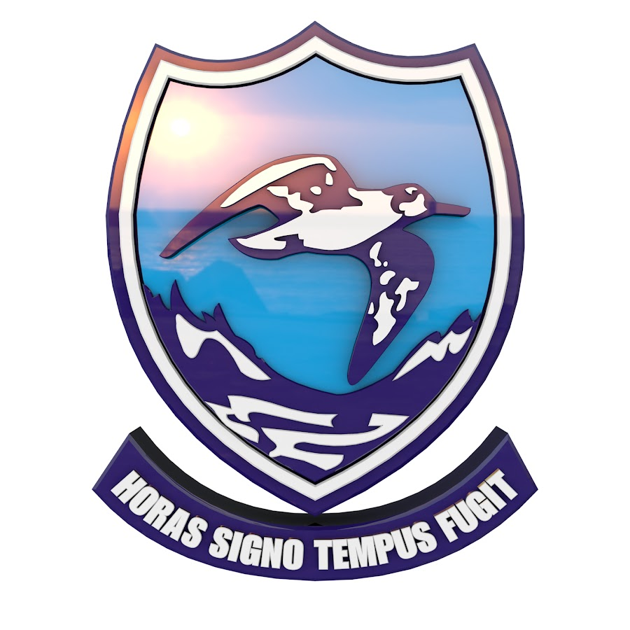 Hermanus Primary